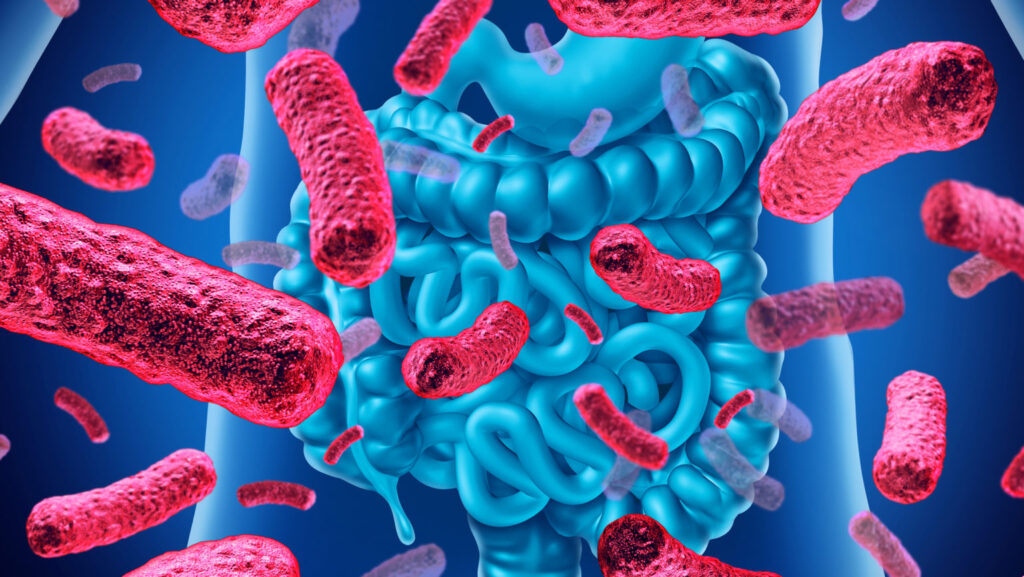 Gut Molecule Shows Anti-Diabetes Potential Gut Molecule Shows Anti-Diabetes Potential
